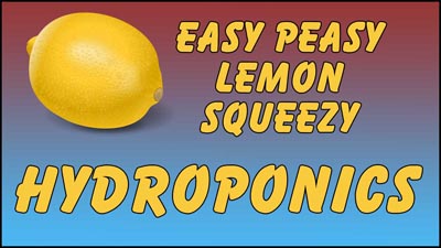 Easy Peasy Hydroponics